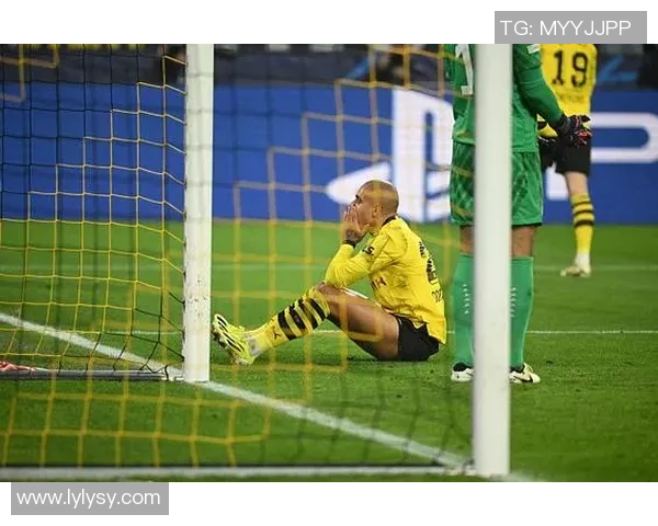 罗伊斯重返多特主场感慨万千出任俱乐部大使心系家园