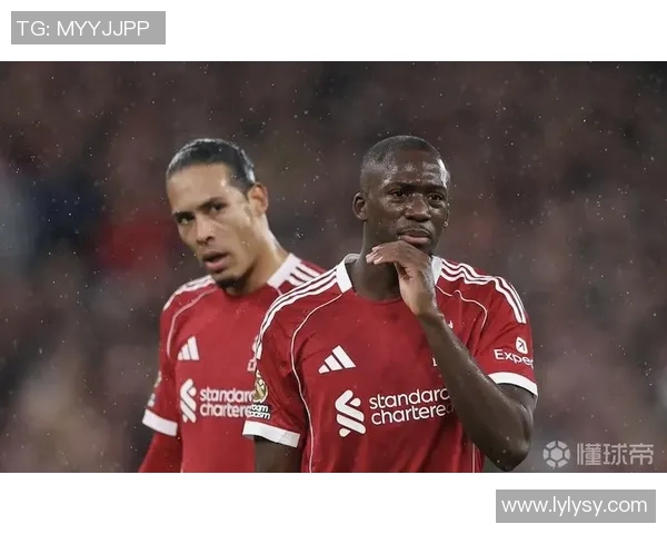 切尔西冬窗计划引进后卫范戴克或成目标再度发起询问